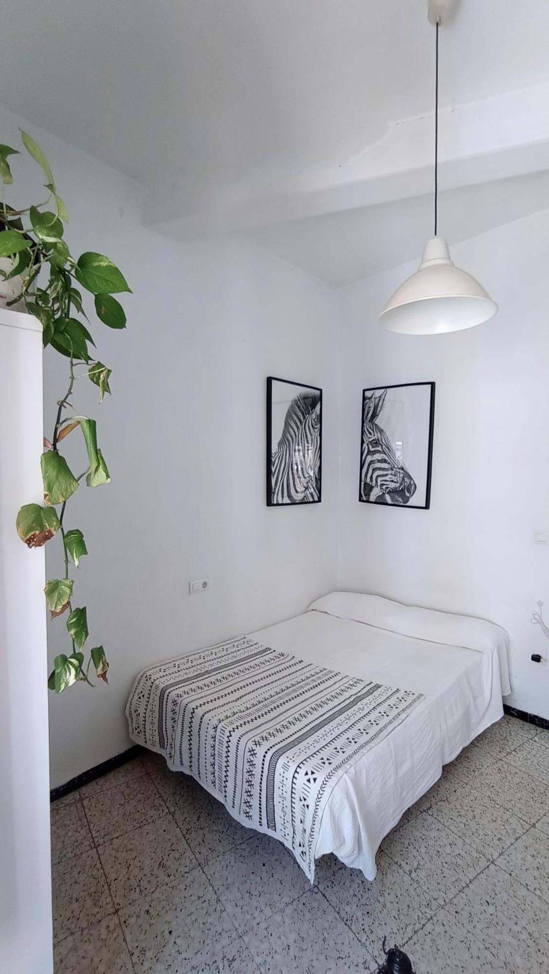 Preciosa Habitacion En Pleno Centro De Sevilla Ideal Para Hacer Turismo Y Vivir La Ciudad Exterior foto